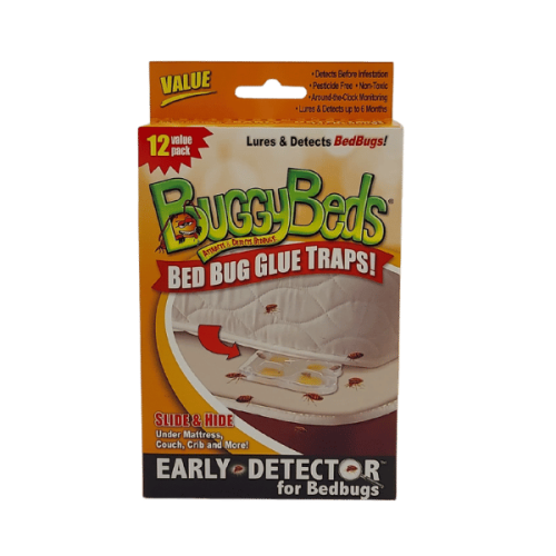 Buggy Beds Maroc - Bio Pest
