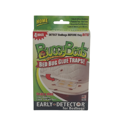 BuggyBeds 4 pièges Maroc