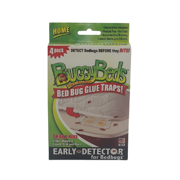 BuggyBeds 4 pièges Maroc