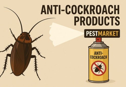 Les cafards à la maison : agissez vite avec nos solutions efficaces au Maroc