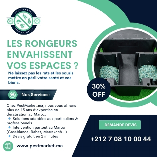 Dératisation Maroc