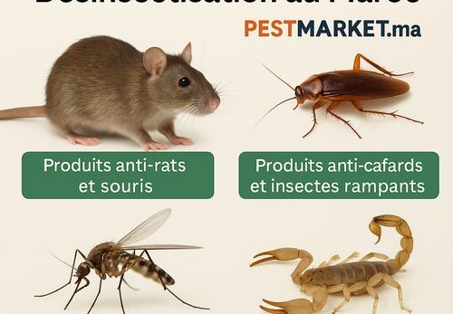 Dératisation et Désinsectisation au Maroc – Produits Professionnels en Ligne