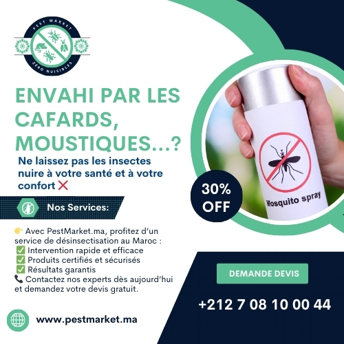 Désinsectisation Maroc