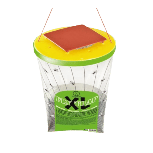 FLY TRAP XL Maroc