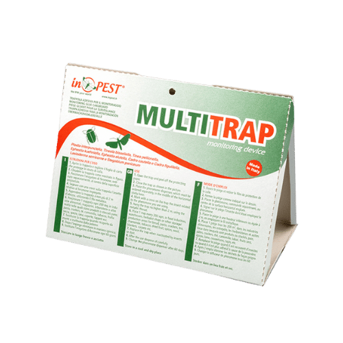 MULTITRAP Anti Mites Maroc