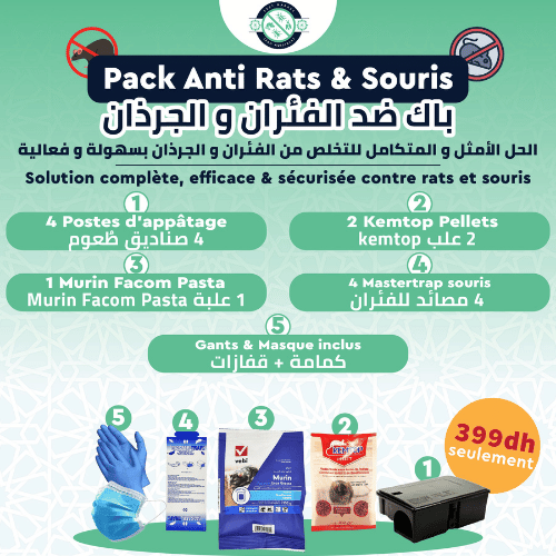 Pack Anti Rats & Souris Maroc