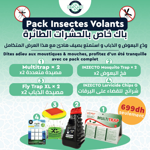 Pack Insectes Volants Maroc
